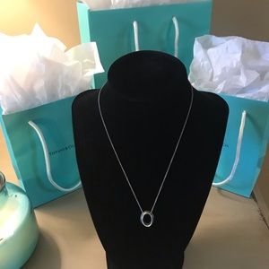 Tiffany & Co. RARE vintage Frank Gehry Morph Necklace